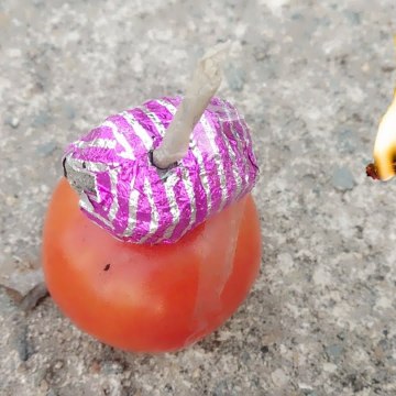 Craziest Experiment
