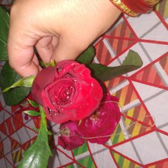 Enjoyed your Life with love and happiness