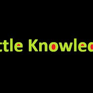 Little Knowledge