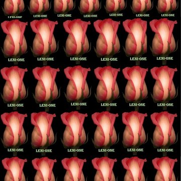 LeniOne