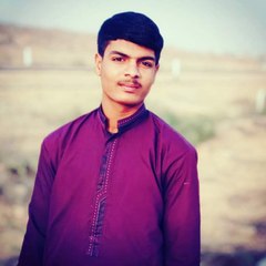 Sarwan Ali Palijo