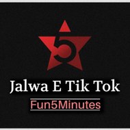 Jalwa e Tik Tok