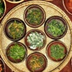 Vegi Test
