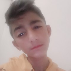 yaşar segal