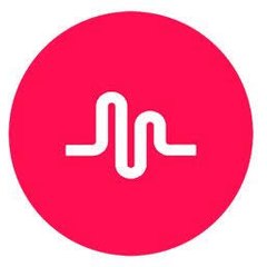 Tik Tok Videos
