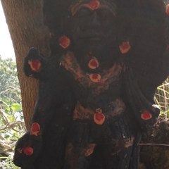 Krish Bala