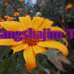 RANGSHAJIM Tv