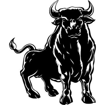BULLS