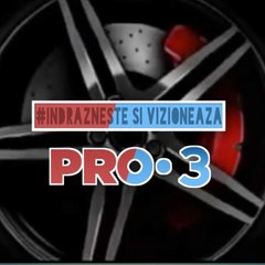 PRO•3