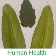 dm_be957b6acd7e490e8b2b4b1fceb5fe75