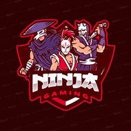 Ninja Gaming