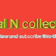 Viral N collection
