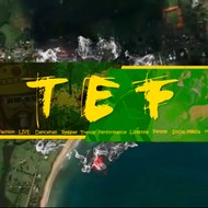 TheEntertainmentFeed