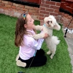 Maisie Moo Gamer