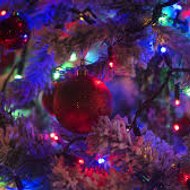 Free copyright all video