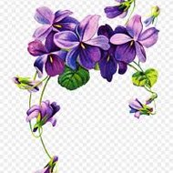 vintage violet online shopping india