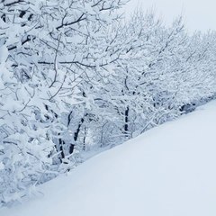 afghan music channel