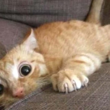 Funny & Motivation Videos