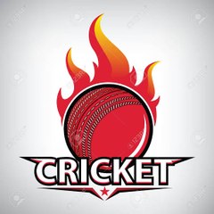Cricket Highlight's
