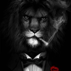 Lion KD
