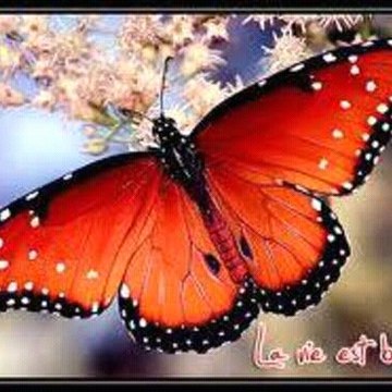 monde de zineb