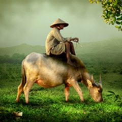 Sundanese Relaxing Music