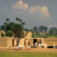Pakistani Village culture