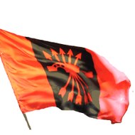 FALANGE ESPAÑOLA (Digital)