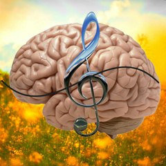 Brain Music Entertainment