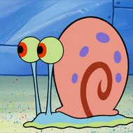 dm_106c503c5ce141d4af0c0ddbba03fb43