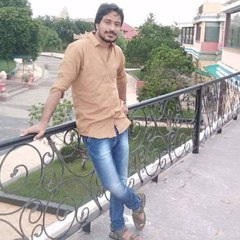 Lokesh Meena