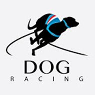 Racing DOG