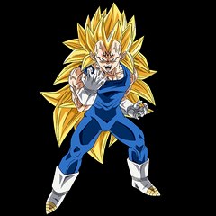 libreria di dragonball