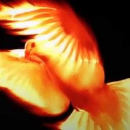 Walking The Narrow Way