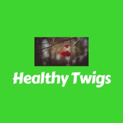 Healthy Twigs