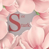 Seeturk          مسلسلات تركية حصرية