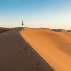 AnotherVoiceintheDesert