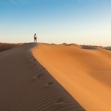 AnotherVoiceintheDesert