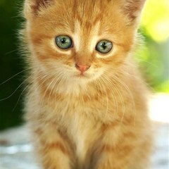 dm_ed4059b733563fb6789986d15e92c3fa