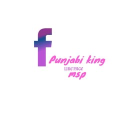 Punjab king msp