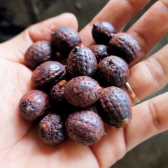 Dirgantara Hits