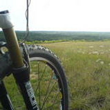 dyruvtt77