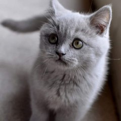 Romy94