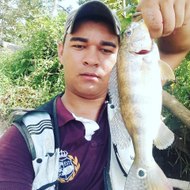 Pescador Raiz