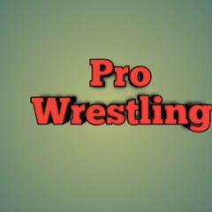 Pro Wrestling