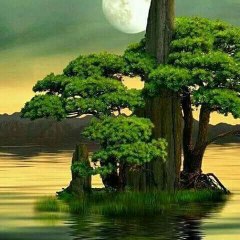 dm_6c11ef268f35f3e696bf3aa7c00a7576