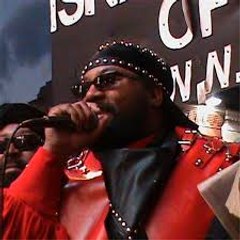 DETROIT ISRAELITES