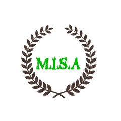 Mohd imran sss aa