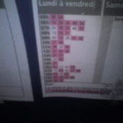 yolooo