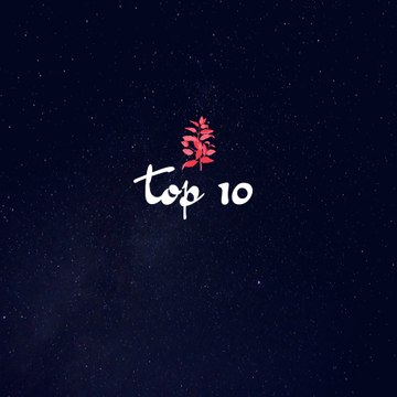 The Top 10 Show